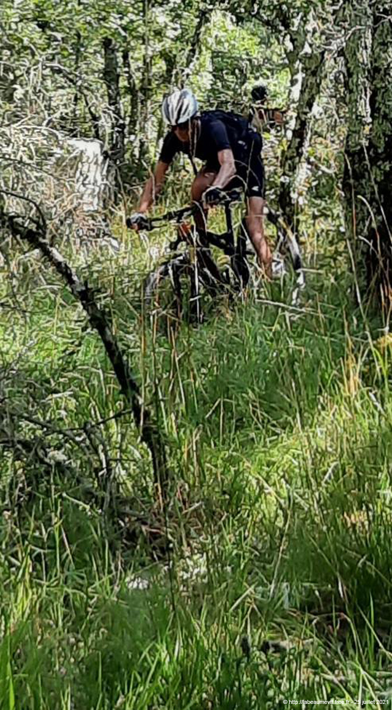 20210725vtt007