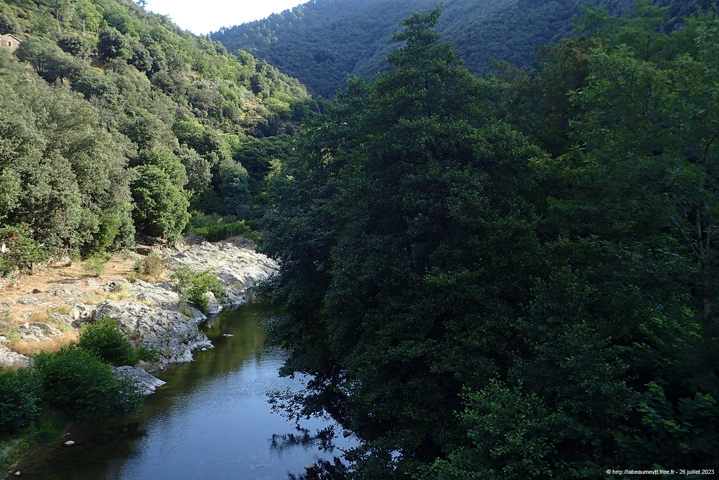 20230726_033