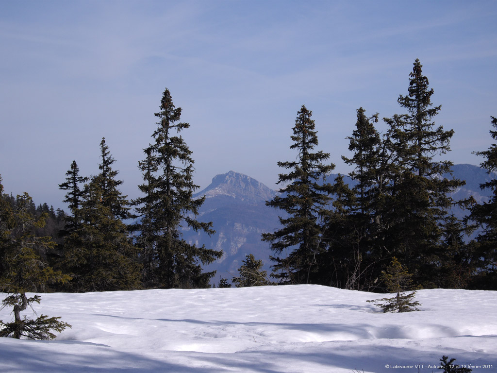 20110213r_090