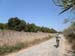 espagne14_448