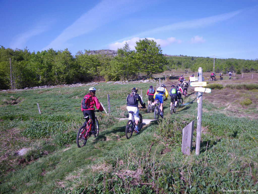 20100529_074