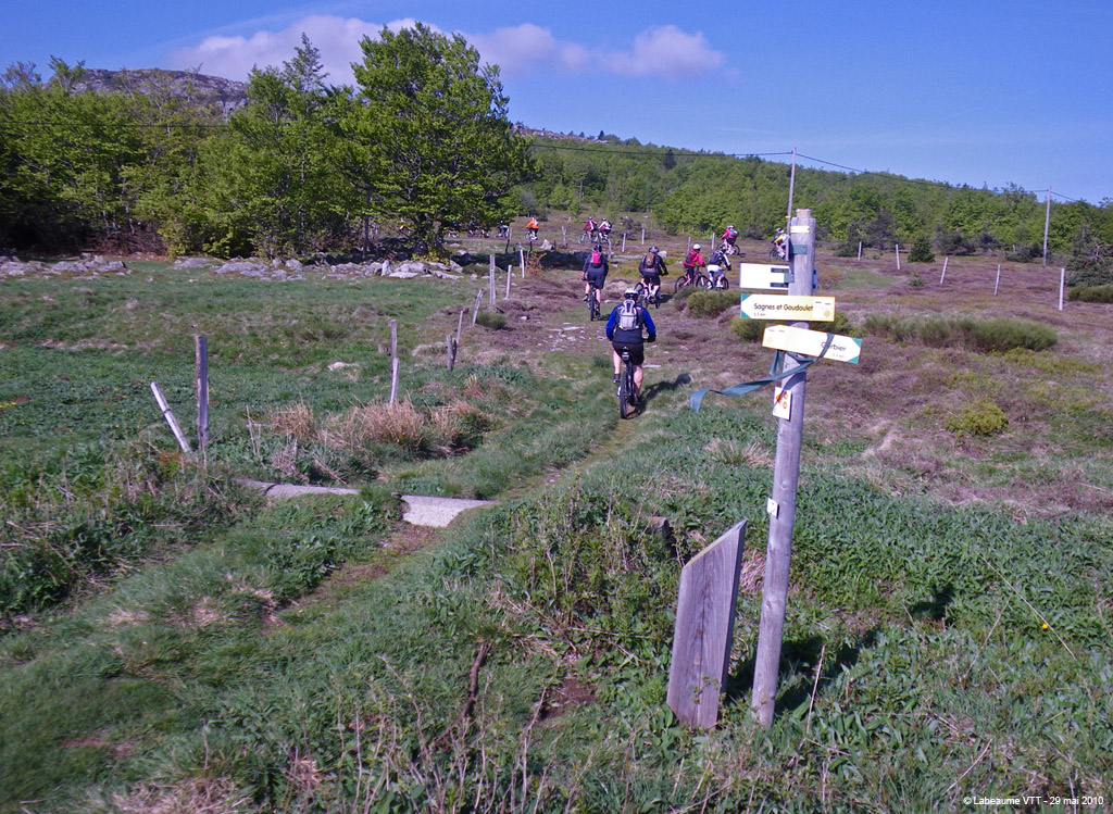 20100529_078