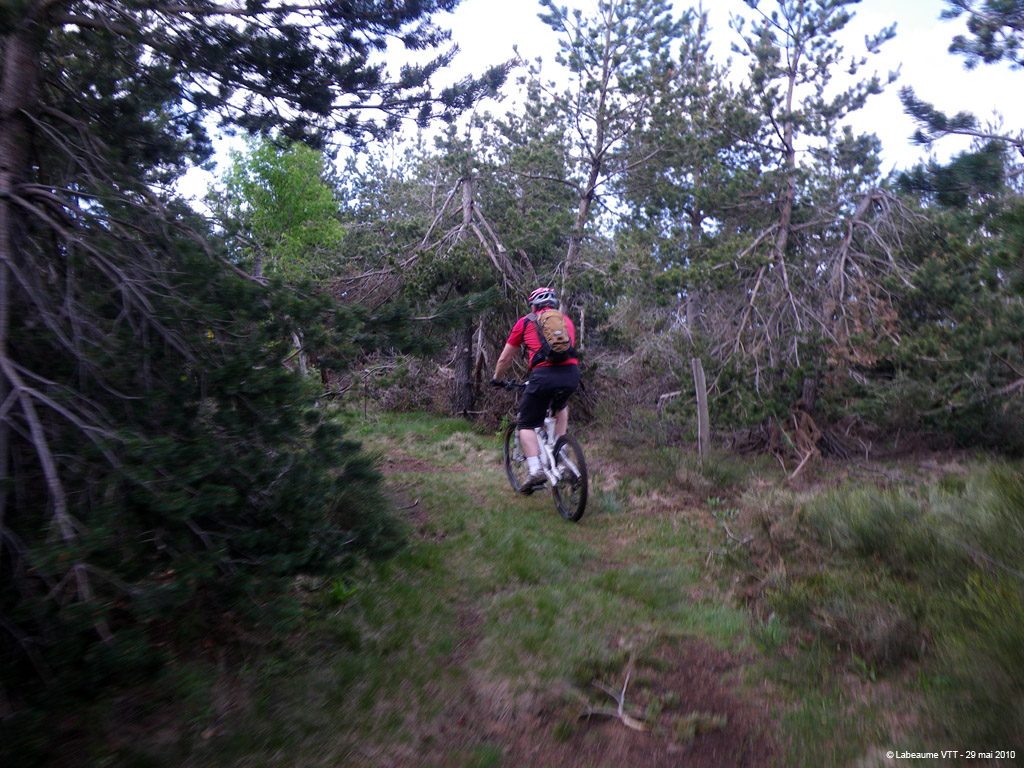20100529_119