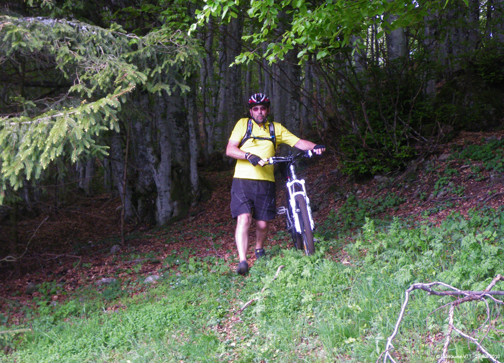 20100529_134