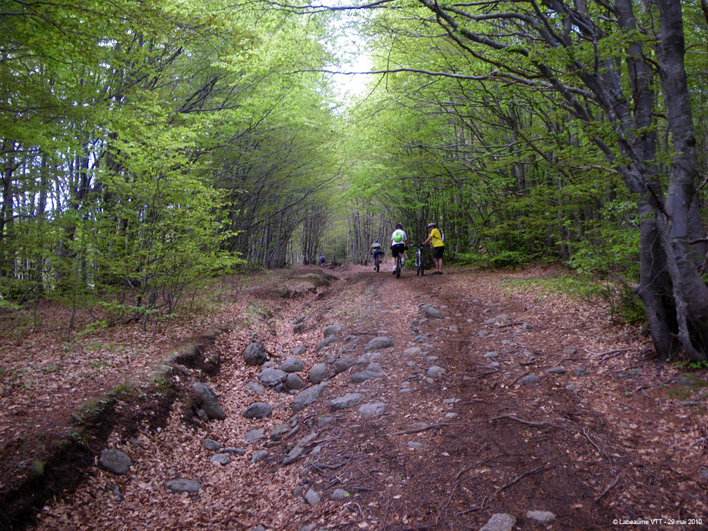 20100529_159