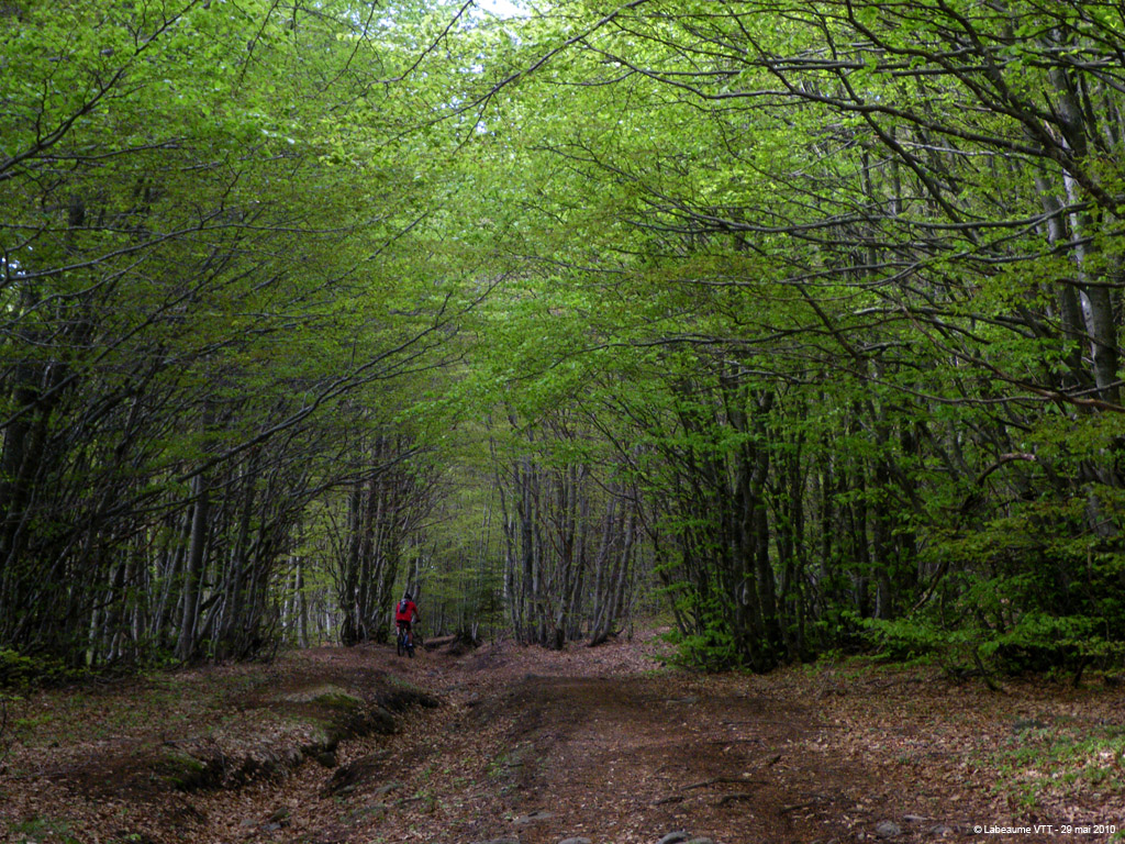 20100529_165