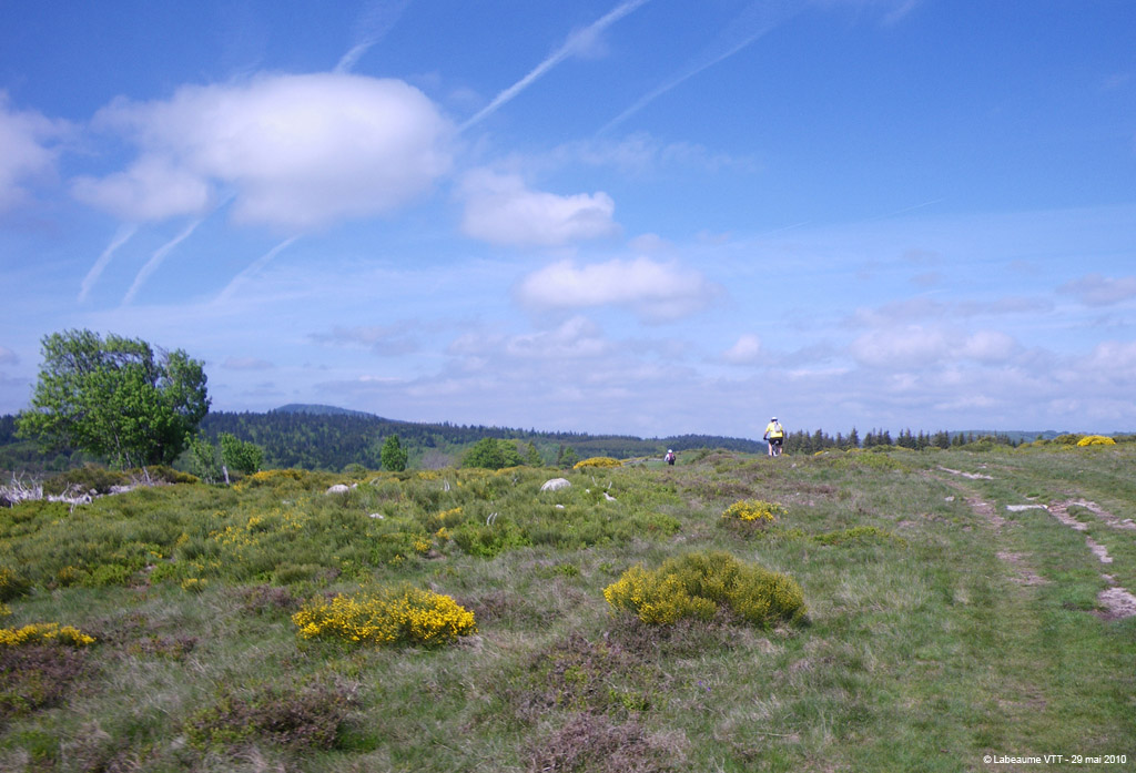 20100529_198