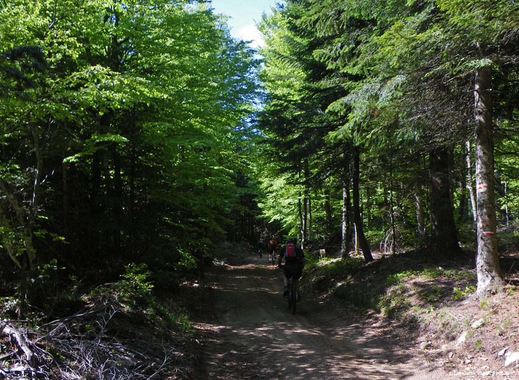 20100529_216