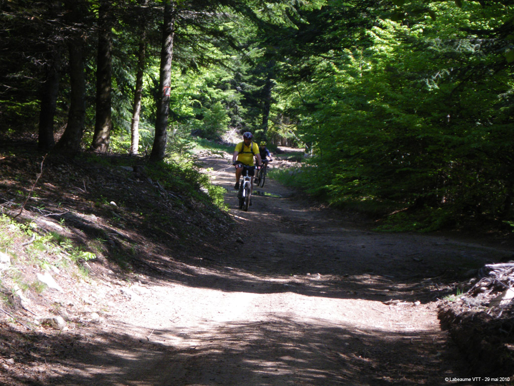 20100529_218
