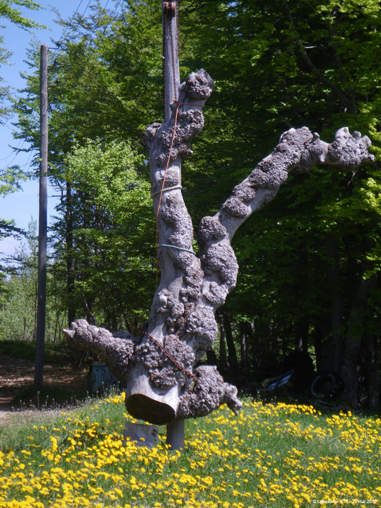 20100529_233