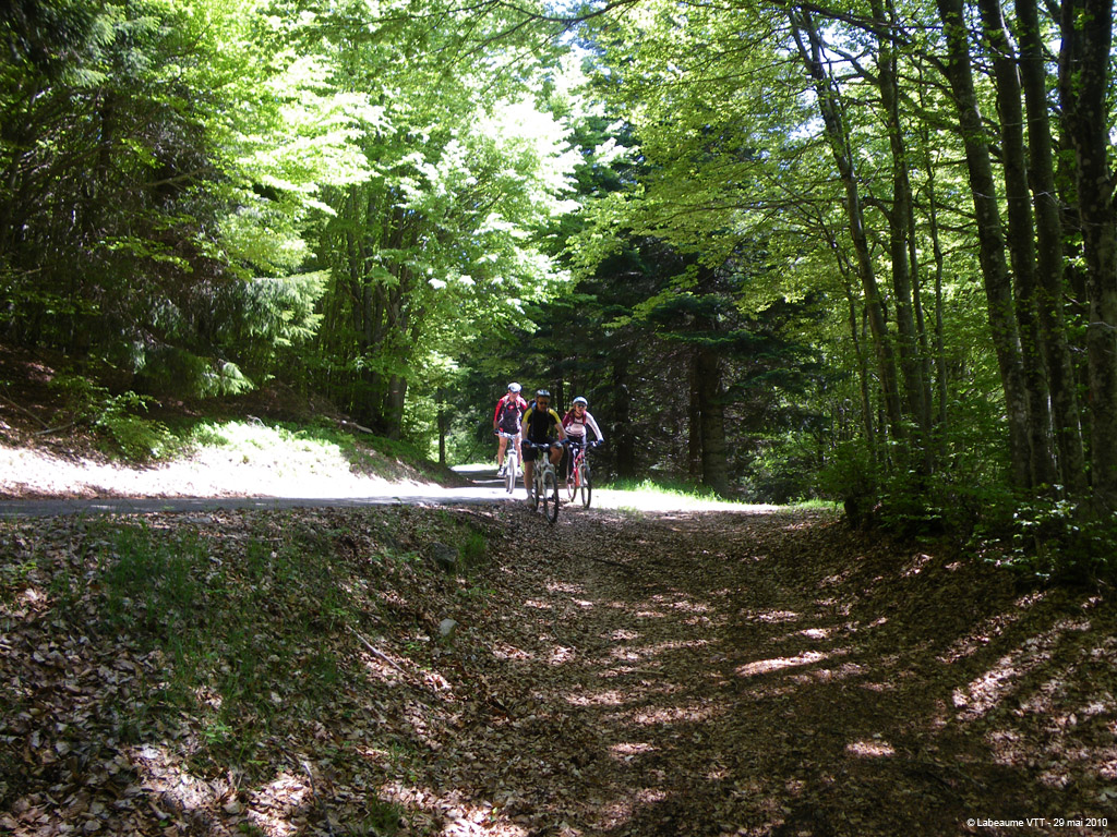 20100529_249