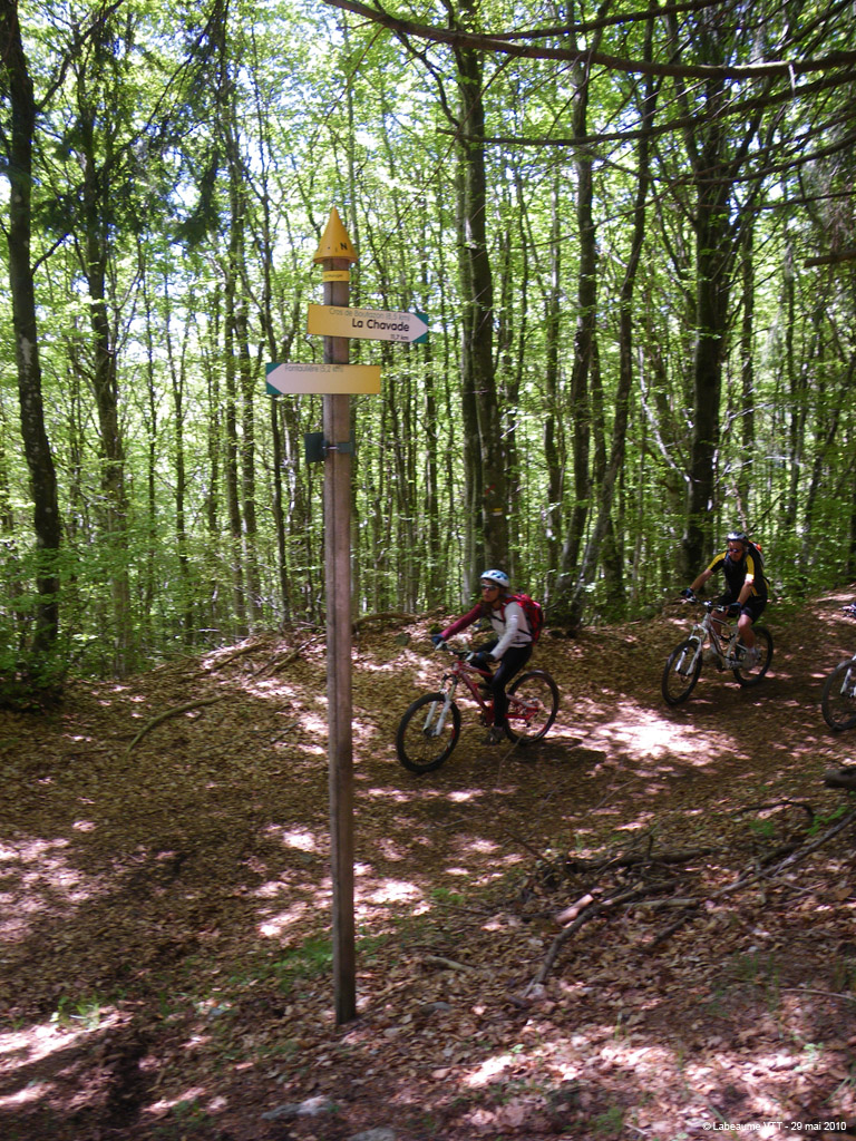 20100529_250