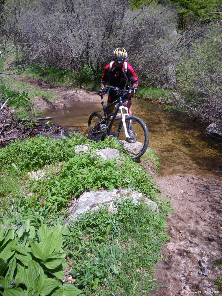 20100529_263