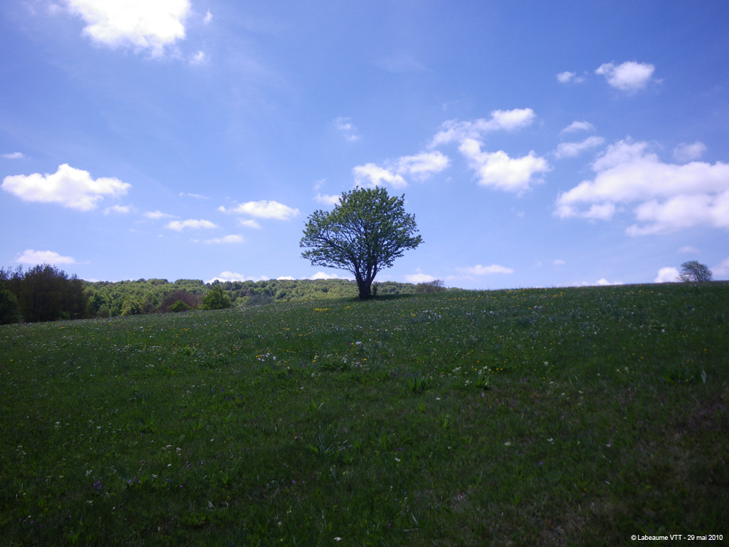 20100529_266
