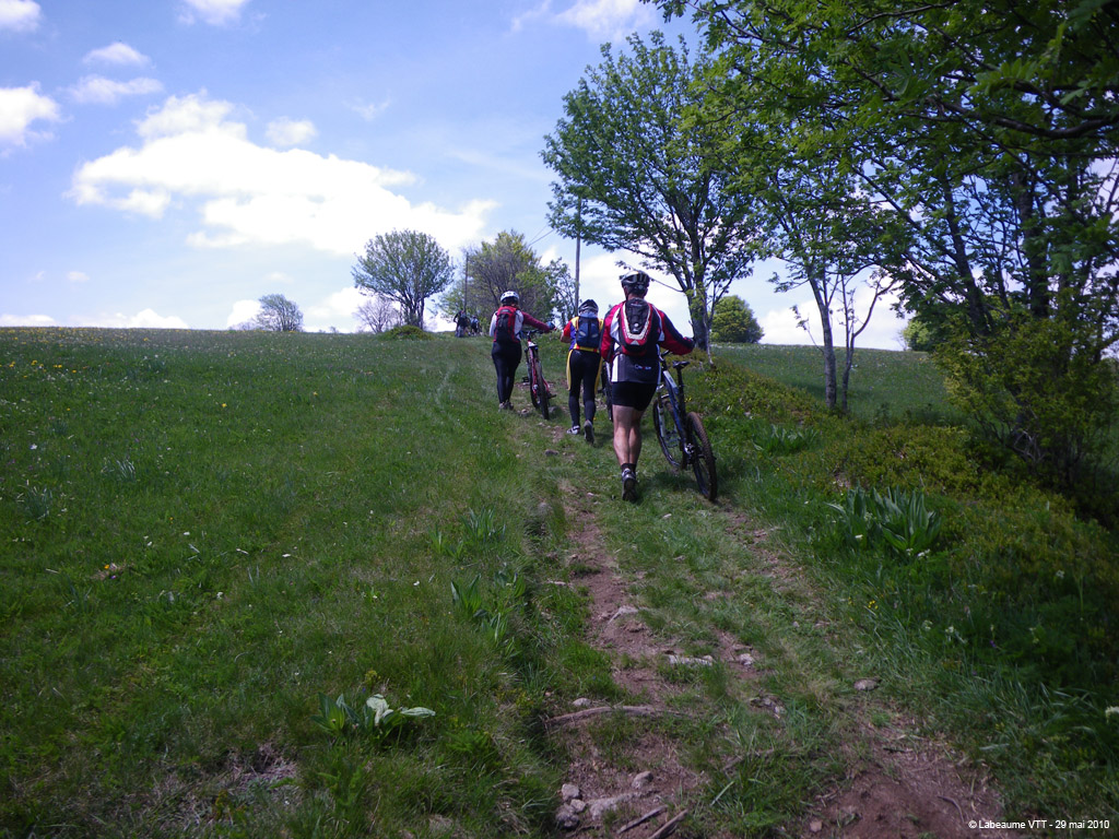 20100529_267
