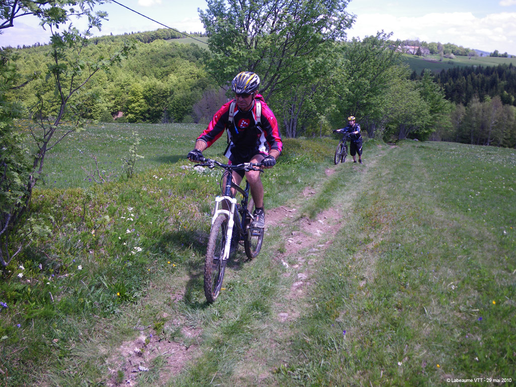 20100529_269
