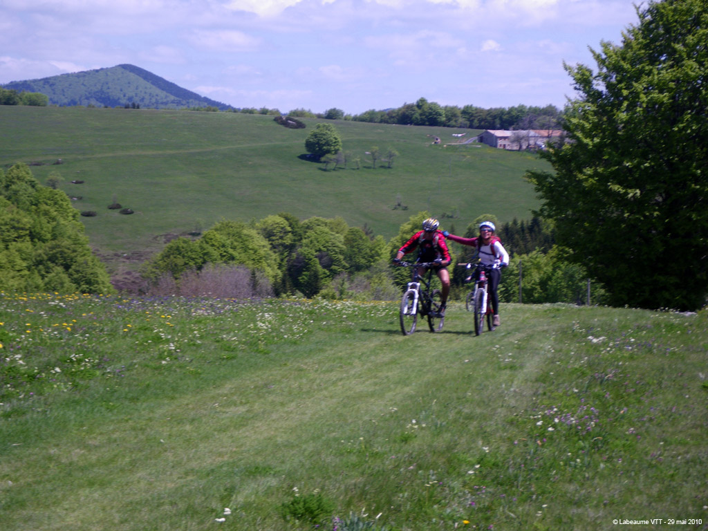 20100529_271