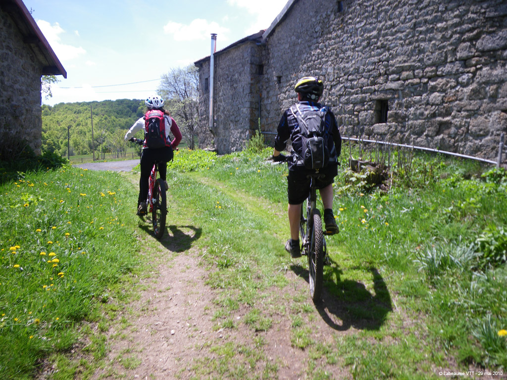 20100529_279