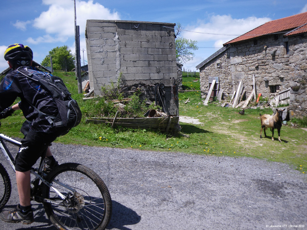 20100529_281