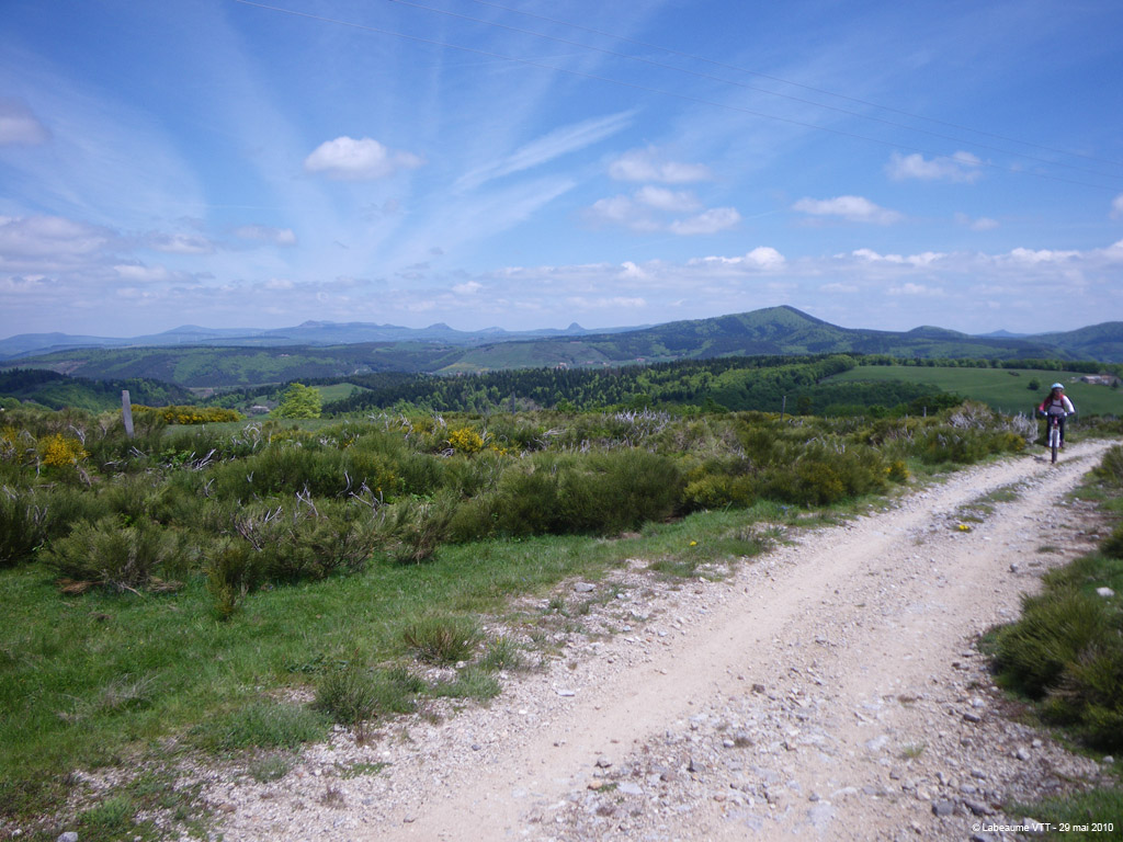 20100529_286