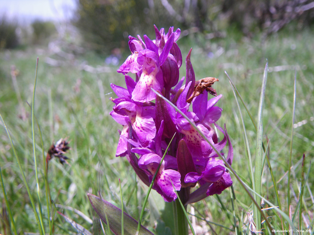 20100529_294