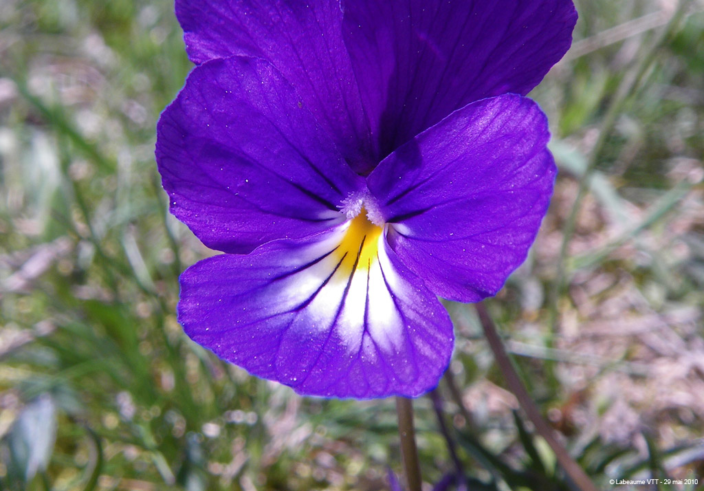 20100529_295