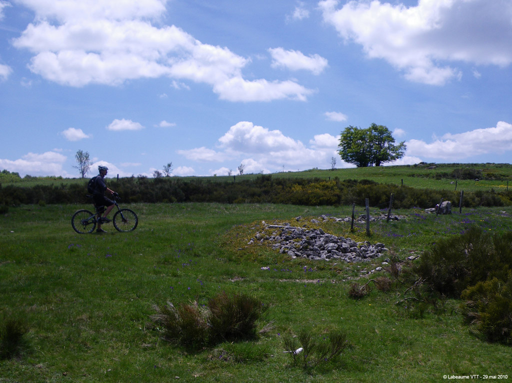 20100529_297