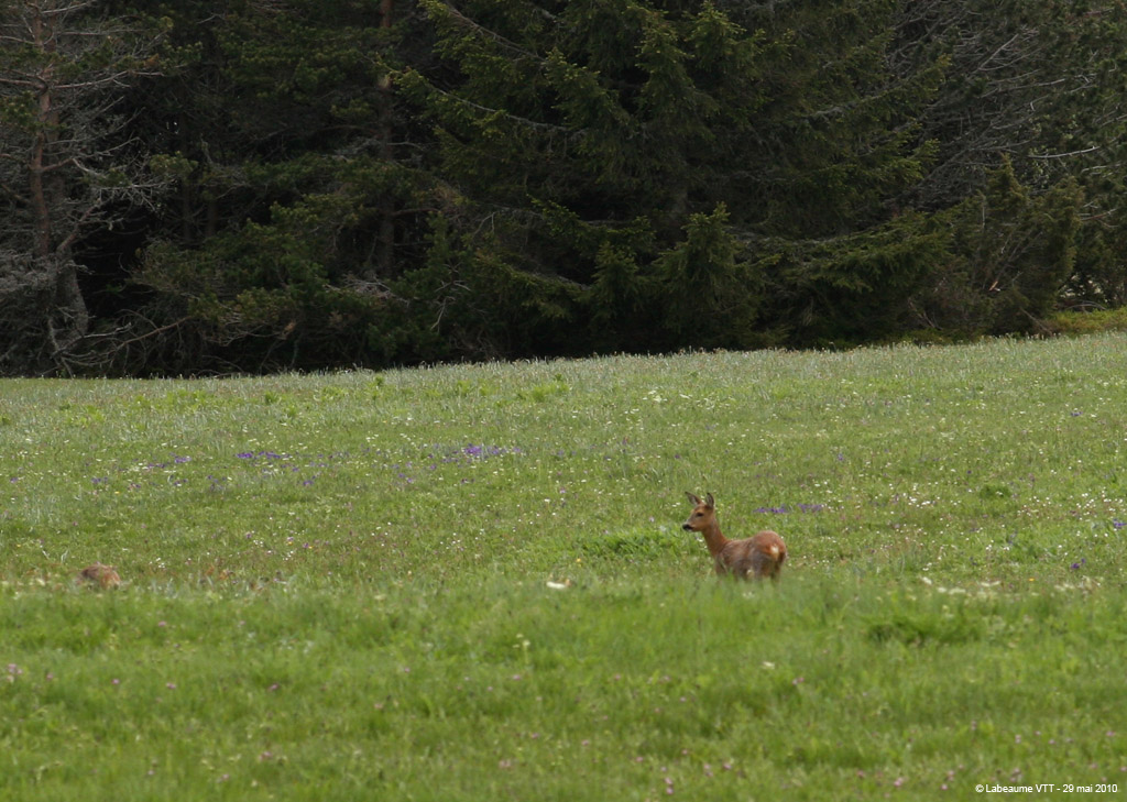 20100529_364