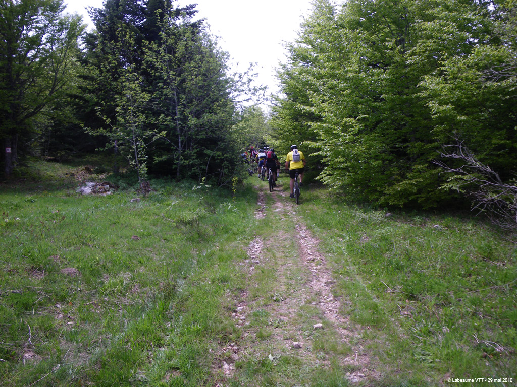 20100529_369