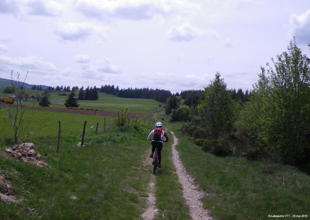 20100529_381