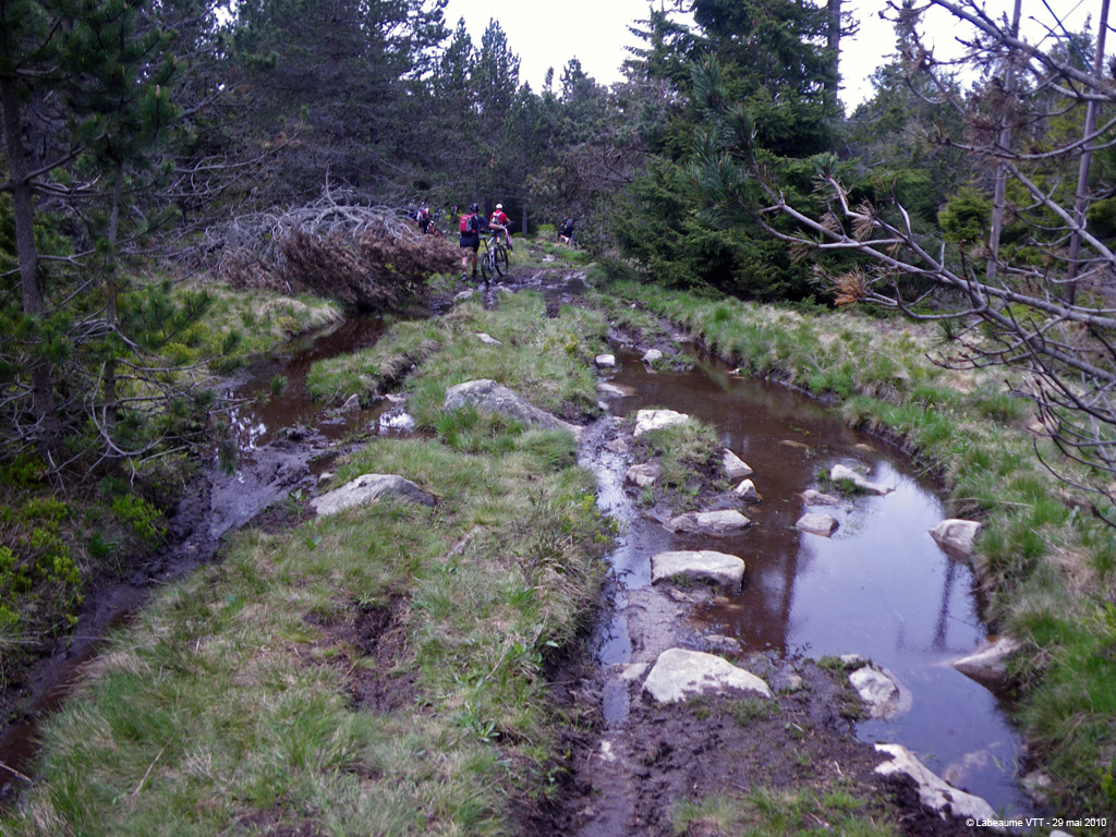 20100529_397