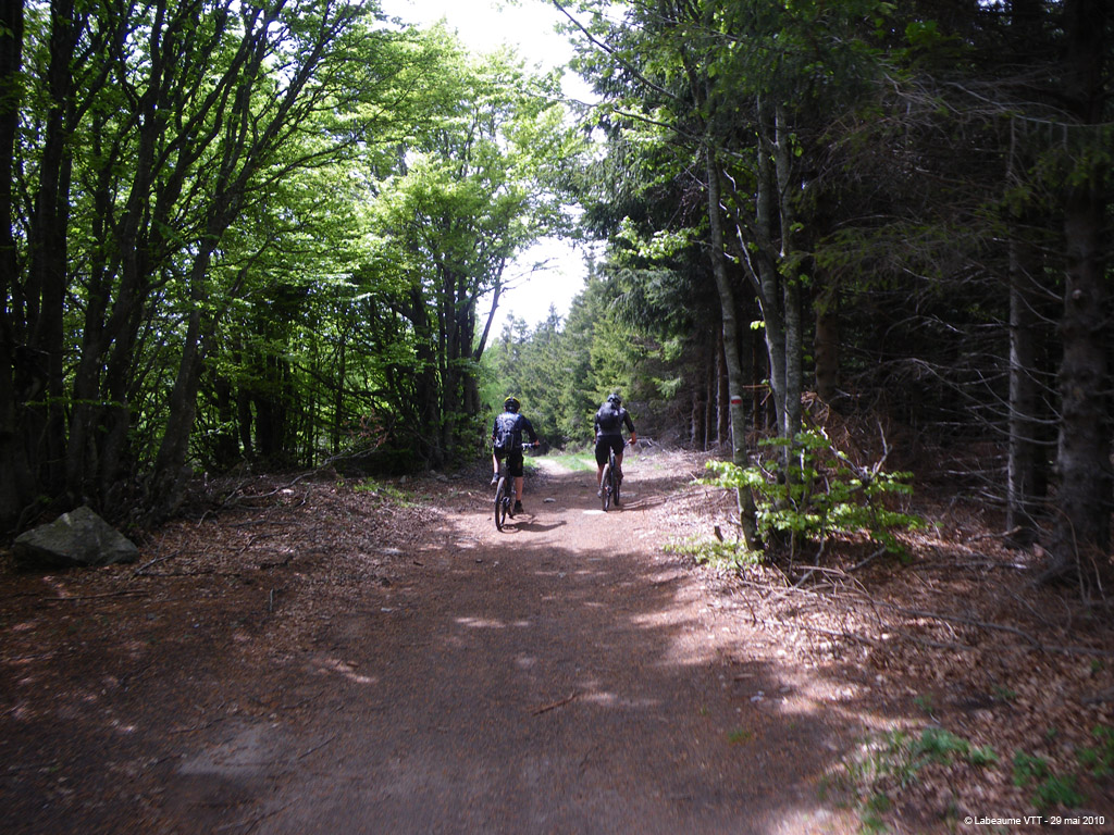20100529_420