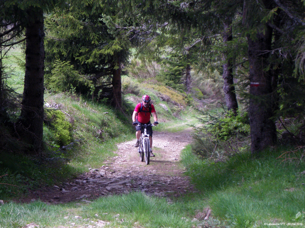 20100529_450