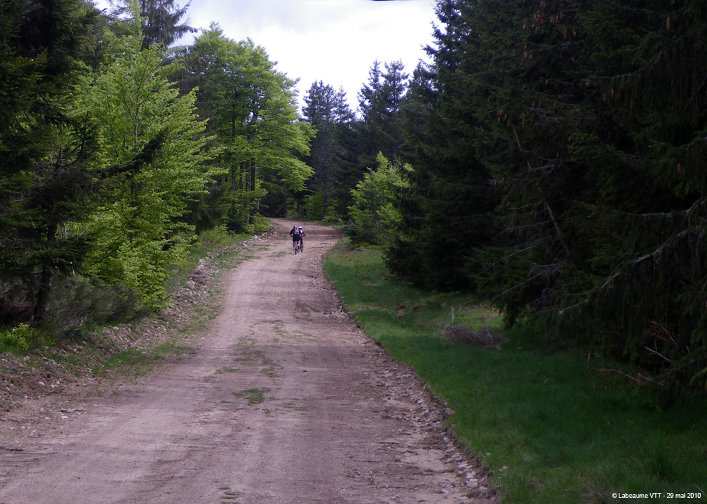 20100529_454