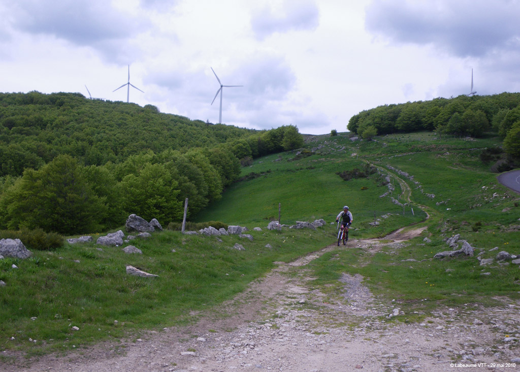 20100529_500
