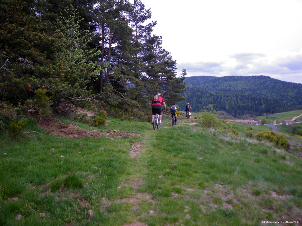 20100529_574