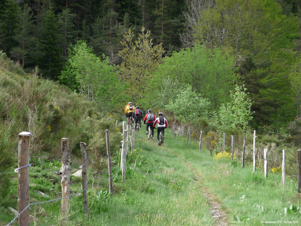 20100530_029