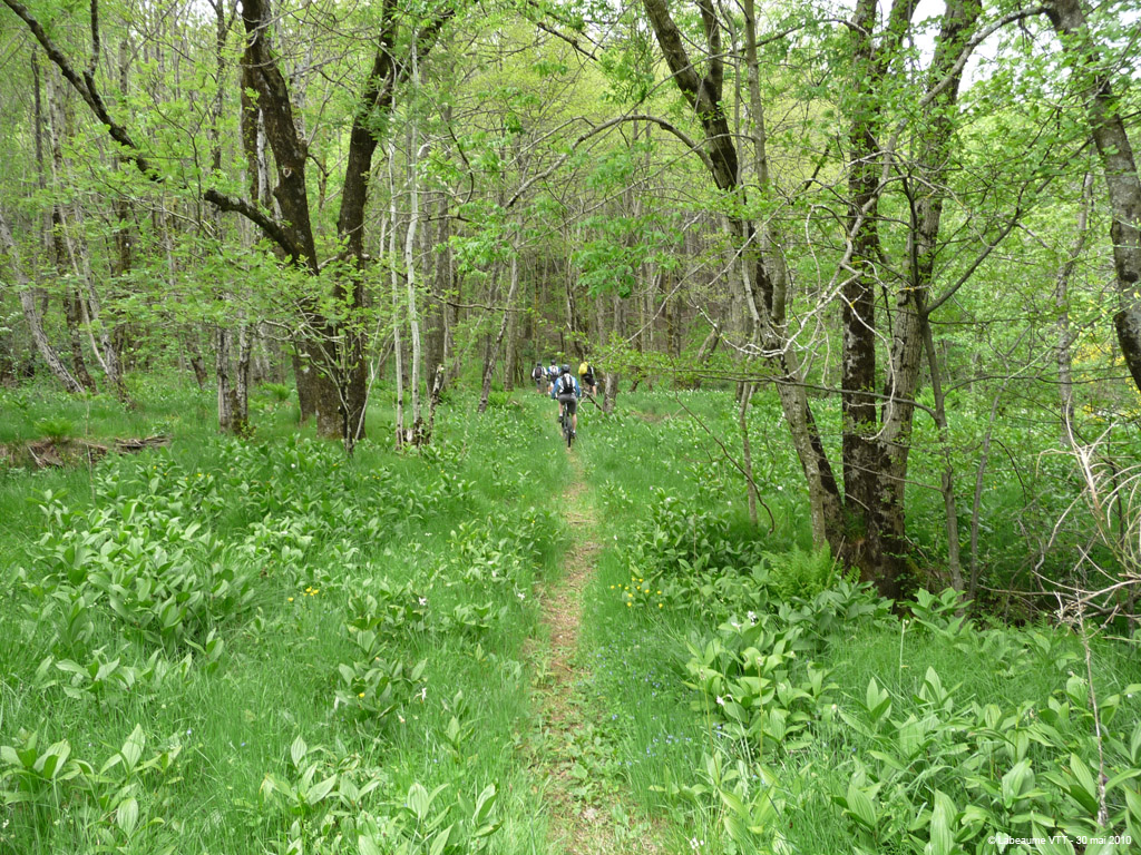 20100530_332