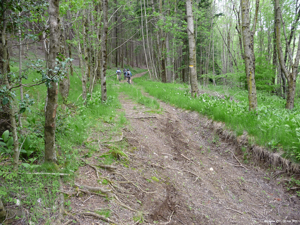 20100530_334