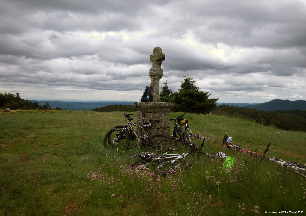 20100530_358