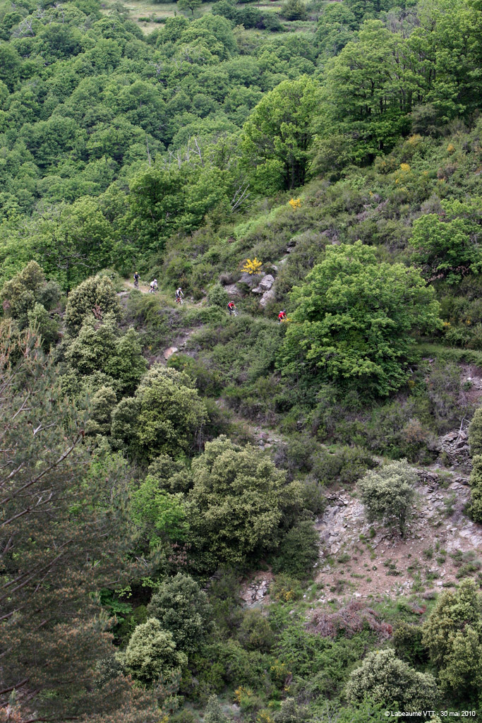 20100530_409