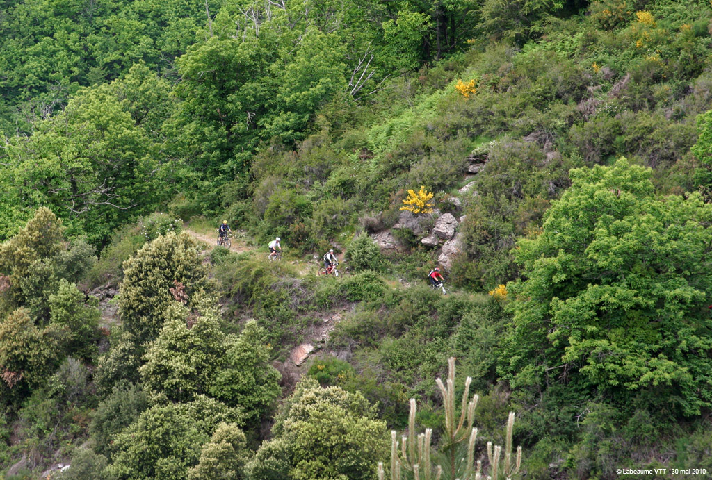 20100530_413