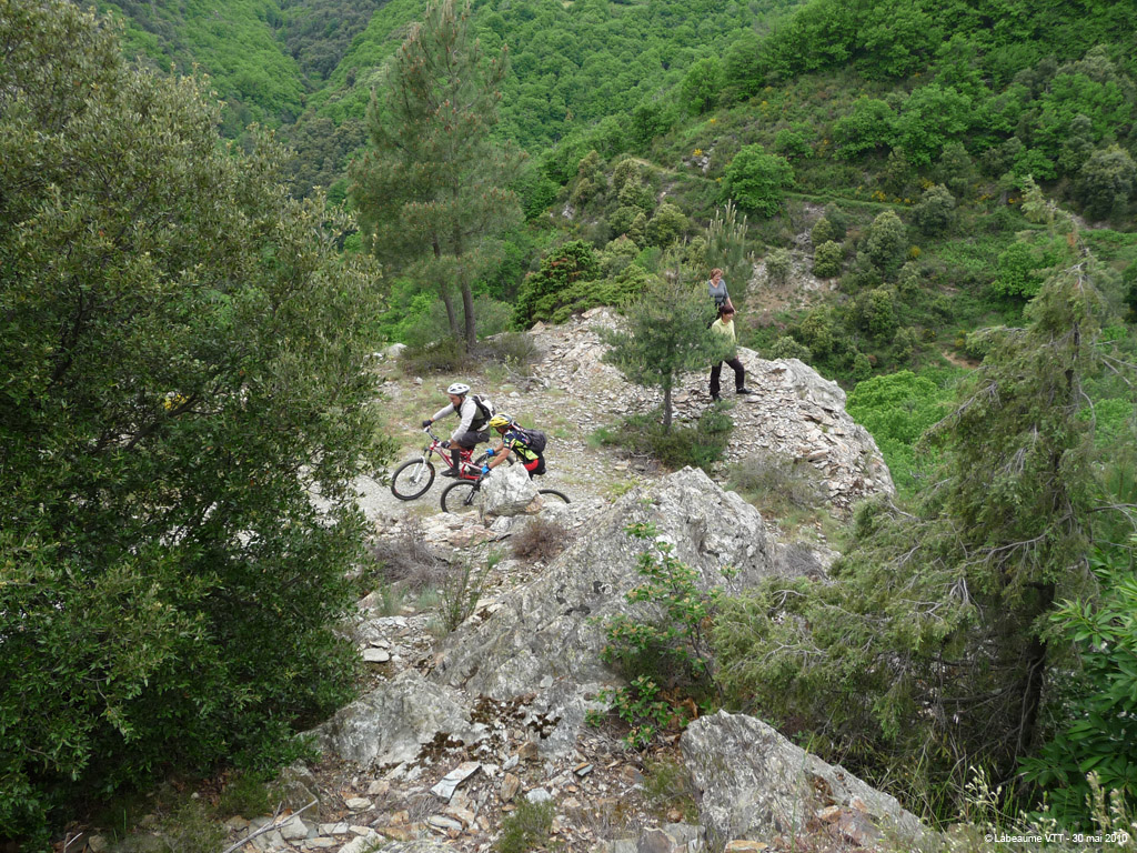 20100530_466