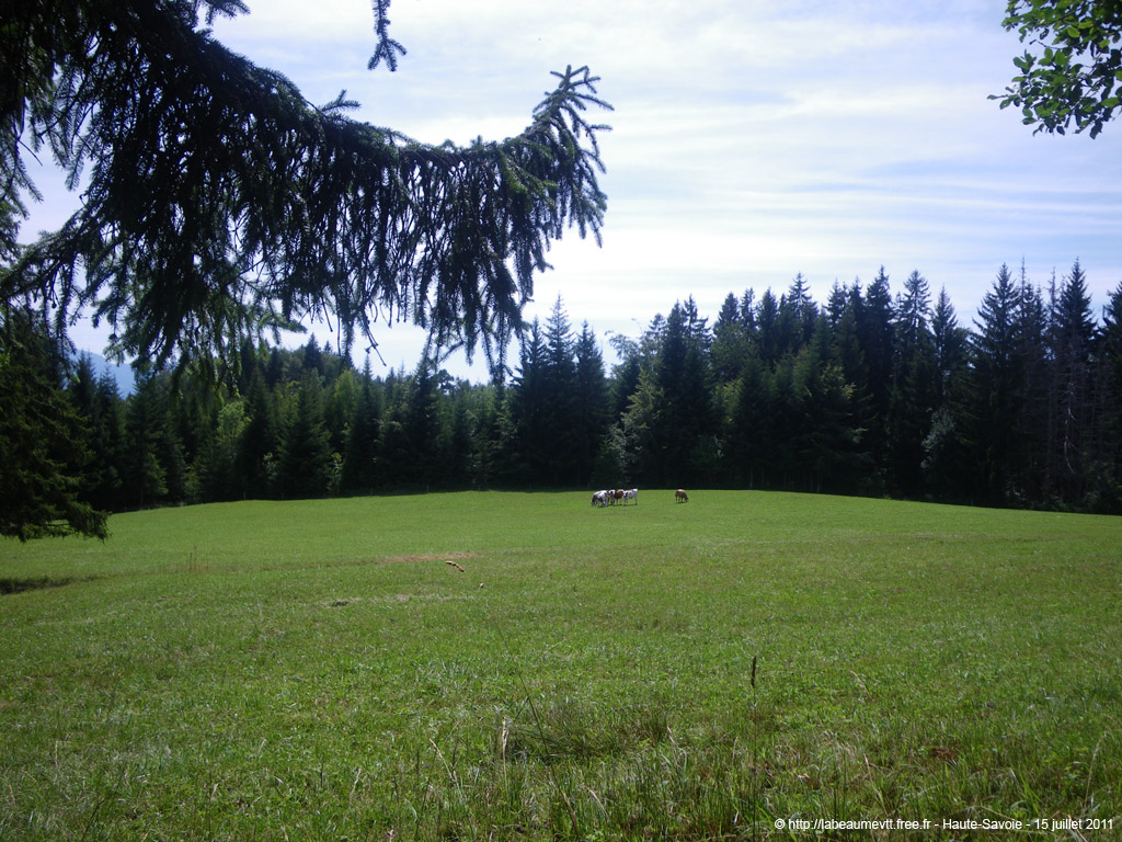 20110715_205