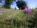 20110715_031