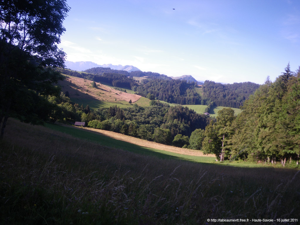 20110716_008