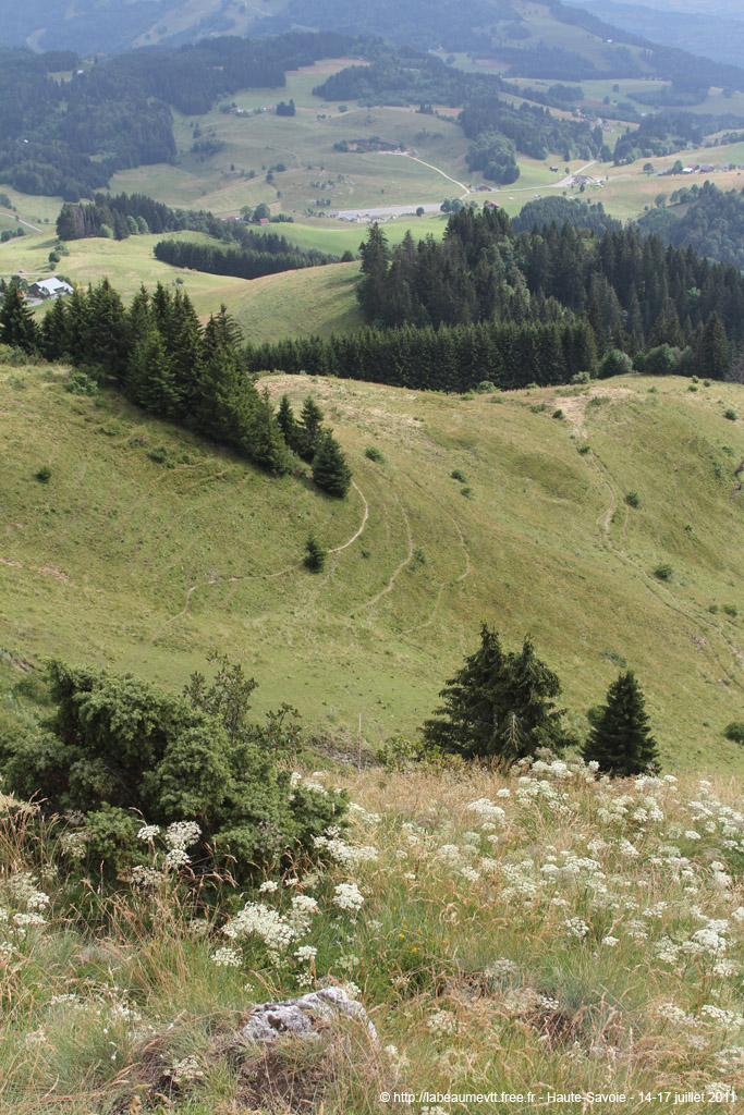 miribelb_098