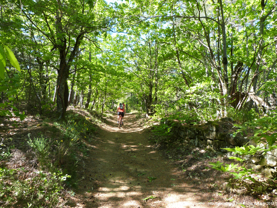 rof13_066