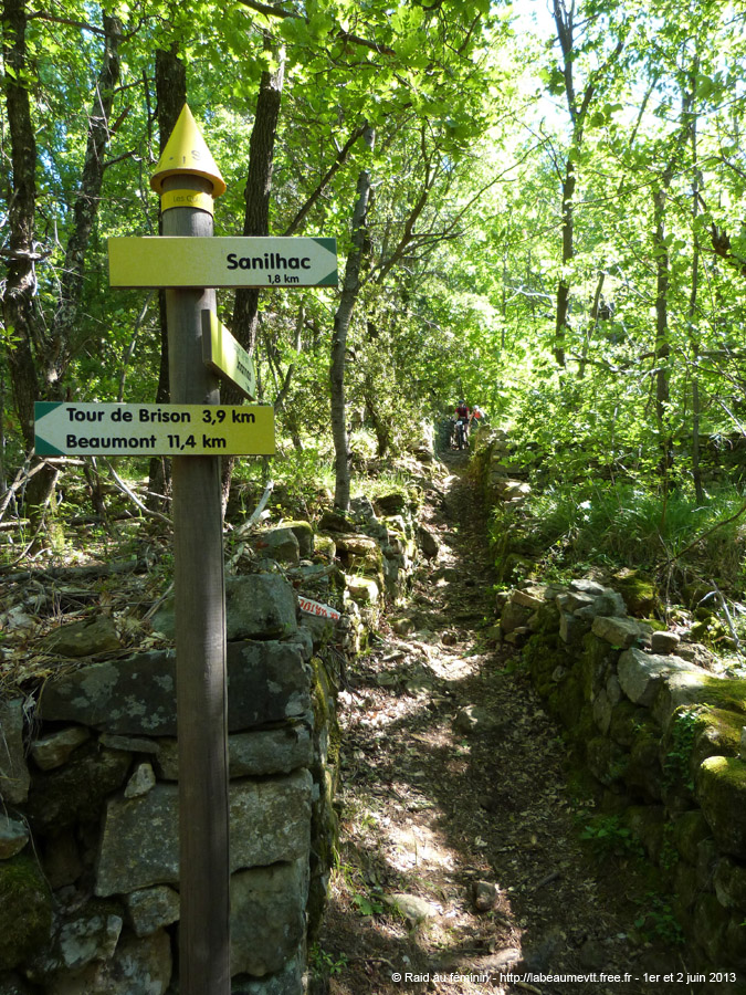 rof13_068