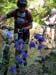 rof13_042
